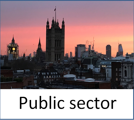 Public sector